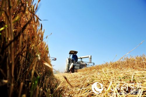 LOCAL202106090814000578695717220