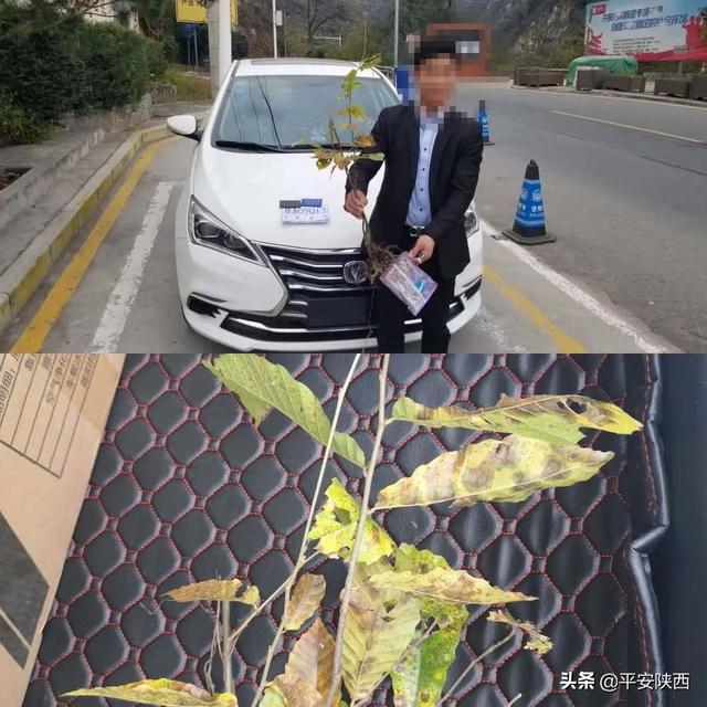 秦岭，睁开了“眼”！