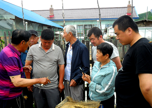 1627885903893399.jpg 2.jpg