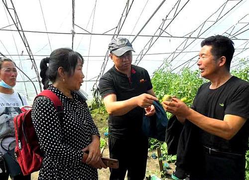 1627885915641437.jpg 3.jpg