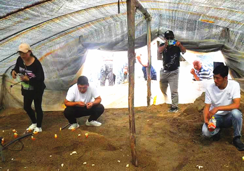 1627885955433060.jpg 5.jpg