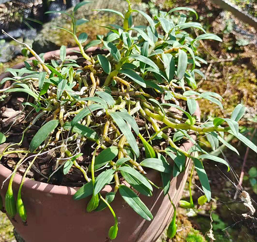 1631260708979325.png 2.png