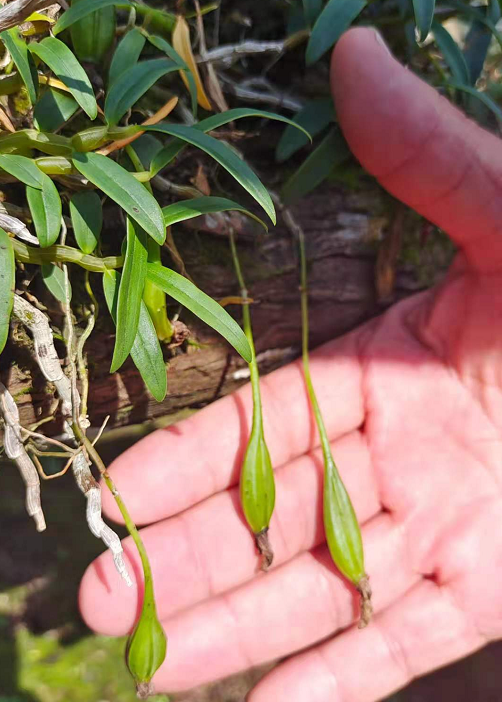 1631260732522822.png 5.png